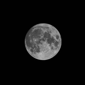 A Night of Full Moon